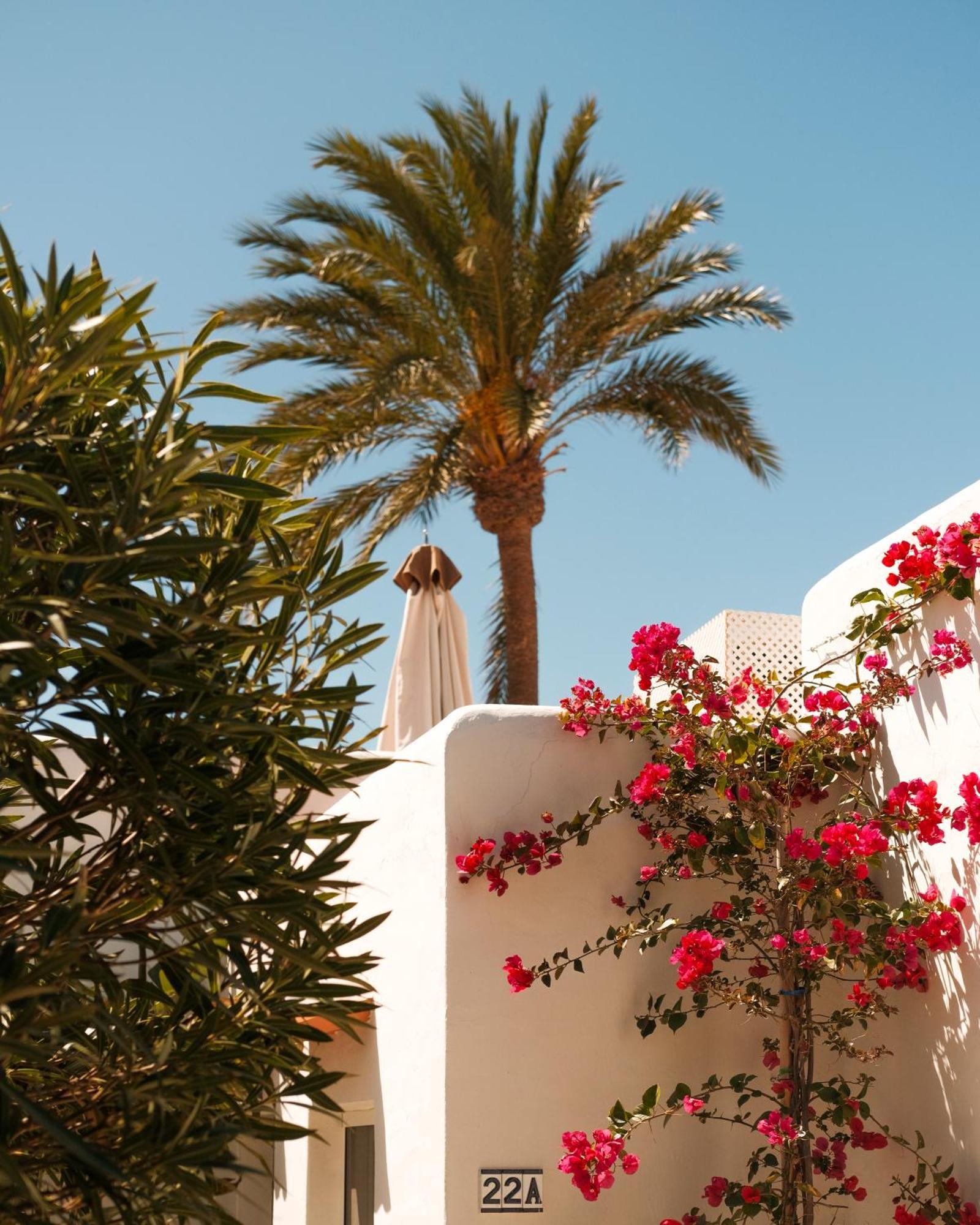 Unio Ibiza - Adults Only Hotel Кала Вадела Стая снимка